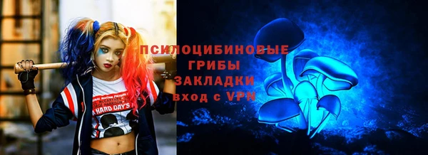 ПСИЛОЦИБИНОВЫЕ ГРИБЫ Алзамай