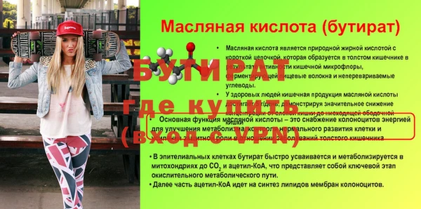 кокс Гатчина