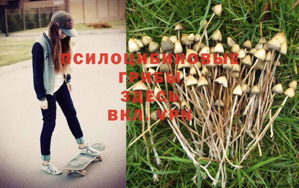 крисы Сафоново