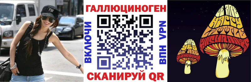 Псилоцибиновые грибы Psilocybe  купить   ссылка на мегу сайт  Асино 
