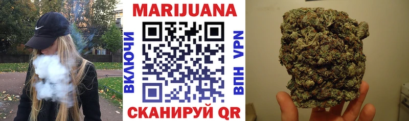 Канабис сатива  Асино 